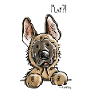 Malinois Play