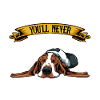Basset Hound