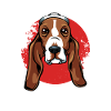 Basset Hound