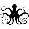 Octopus shadow