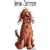 Fröhlicher Irish Setter