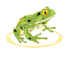 Frog - frog - toad