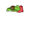 Schildkröte Süße Chillkröte Turtle