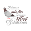Zuhause Heimat Tauben Lustig