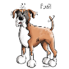 Deutscher Boxer Play