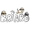 Briard Comic Font - Dog - Dogs