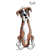 Deutscher Boxer Play