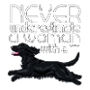 cockerunderestimate3