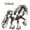 Hottehüüü Irish Tinker