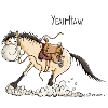 Yeah Haw Quarter Horse