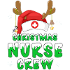 Nurse Crew Christmas