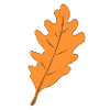 Oak - leaf - autumn