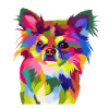 Chihuahua Dog