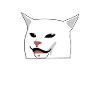 Chat memes à la table