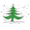 fir