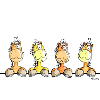 Hottehüüü Pferde