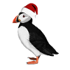 Painted puffin with Santa hat