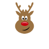 Mon premier noel