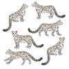 Snow leopard selection