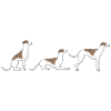 Place Standing Whippet