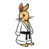 Kudo Rabbit