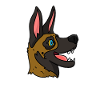 Chien malinois