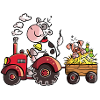 Kuh fährt Schwein