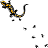 Running gecko