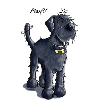 Riesenschnauzer Play - Schnauzer - Schwarz