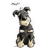 Schnauzer Play -Chien - Chiens - Cadeau