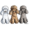 Best Friends Poodles