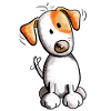 Fröhlicher Jack Russell
