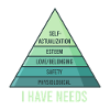 Needs pyramid, maslow social psychology