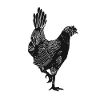 Rooster Klein
