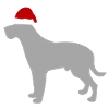 Christmas dog