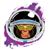 Singe de l'espace