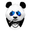 Cool panda