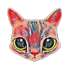 Chat