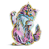 Main Coon