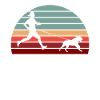 Canicross rétro