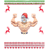 Ugly Christmas Fitness Boybuilding