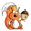 Écureuil - Animal - Animaux - Cardeau