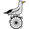 begabte Möwe