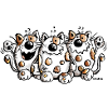 Trois meilleurs amis - Chat - Chats - Cadeau