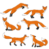Red Fox selection