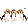Trois Beagles - Play - Chien - Chiens - Cadeau