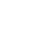 mosquito