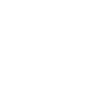 electric car