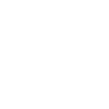 PULLIZEI POLIZEI