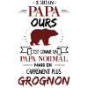 Papa ours